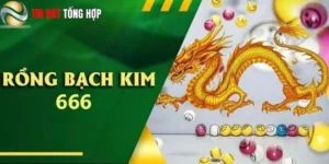 Rồng Bạch Kim 247