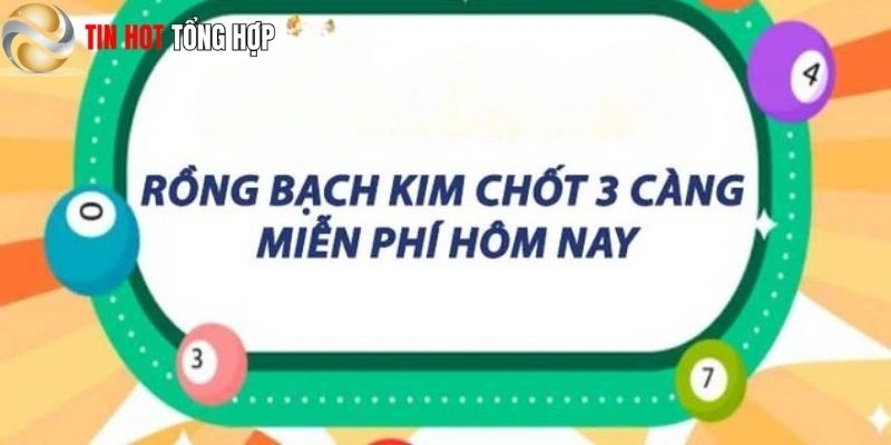 Những chiến lược soi cầu hiệu quả và con số may mắn