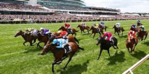 Bong Vip Đánh Dấu Đẳng Cấp Cược Đua Ngựa Chuyên Nghiệp